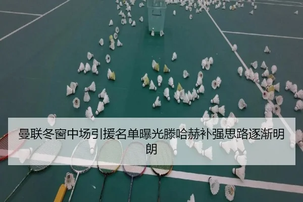 曼联冬窗中场引援名单曝光滕哈赫补强思路逐渐明朗 | kaiyun